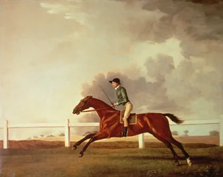 Bay Malton med John Singleton Up, ca. 1767